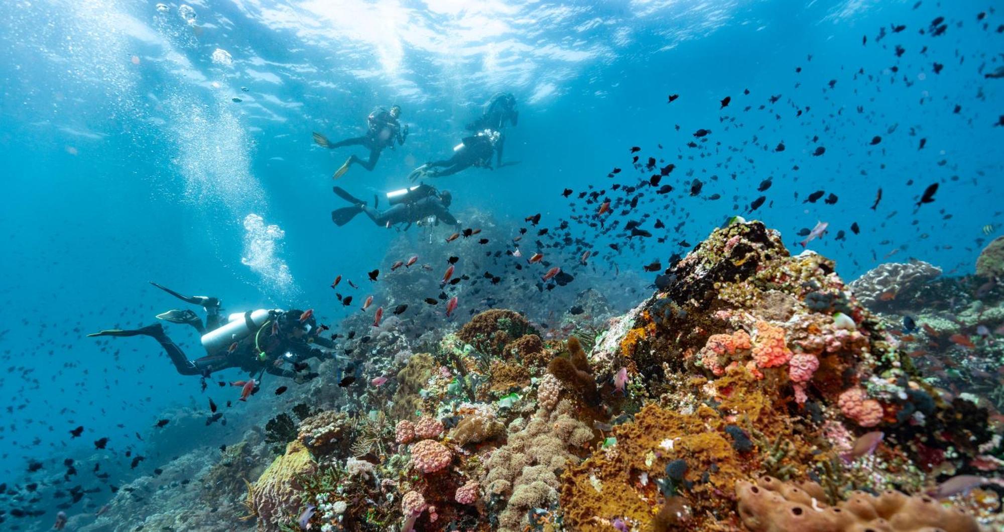 Casalay Boutique Villas & Dive Puerto Galera Dış mekan fotoğraf